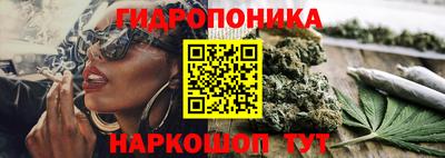 Альфа ПВП Брянск
