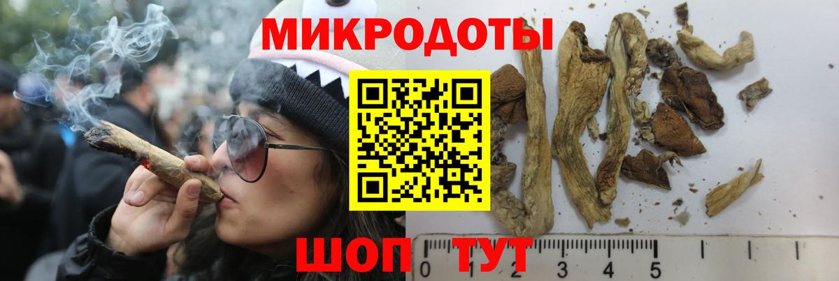 Галлюциногенные грибы прущие грибы  Вход с VPN  Вязники 